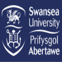 http://www.ishallwin.com/Content/ScholarshipImages/127X127/Swansea University-9.png